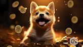 Dogecoin (DOGE) enters a new phase of accumulation