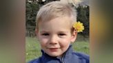 Bones found of missing two-year-old French boy