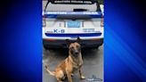 BPD announces sudden death of active duty K9