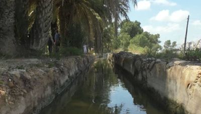 Los huertos del margen izquierdo del Vinalopó recibirán agua regenerada de la depuradora a través de la Acequia Mayor