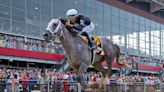 MyRacehorse Owners Shooting For Another Triple Crown Triumph With Seize The Grey In 2024 Belmont Stakes