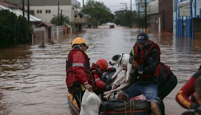 Catastrophic Floods in Brazil Set Off Another Crisis: Homeless Pets