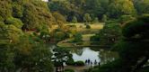 Rikugi-en Gardens