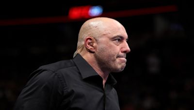 Joe Rogan inks deal with Netflix for new live special