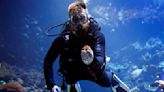 海底「諾亞方舟」！荷蘭動物園搶救全球珊瑚 為瀕危品種留一脈香火