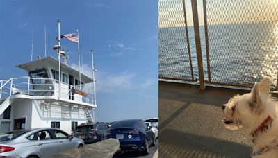 I took 2 kids and a dog on 3 separate ferries to get to our summer vacation. The 6-hour journey was so much better than driving.