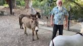 Donkey who inspired popular ‘Shrek’ character in need of medical funds