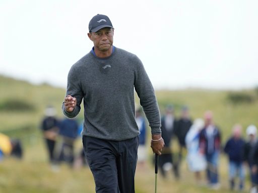 Tiger Woods undergoes another back surgery, says it 'went smothly'