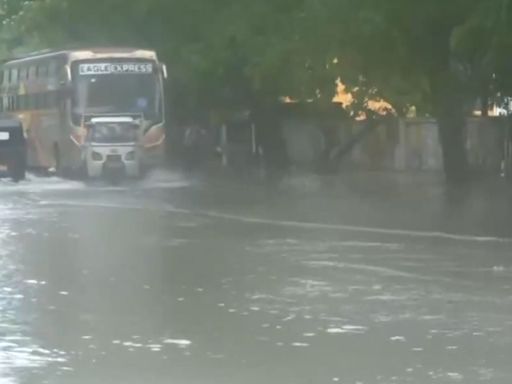 Gujarat: Heavy Rains In State Cause Waterlogging & Traffic Chaos In Porbandar, Junagadh, & Devbhumi Dwarka; Visuals Surface