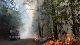 Mexico Is Battling 159 Active Wildfires