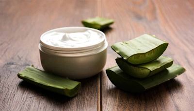 Dermatólogos opinan sobre la efectividad del aloe vera como tratamiento para la piel ¿Es mejor comprarlo o cultivarlo?