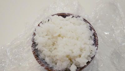 免模具「比熊飯糰」太療癒了吧！！