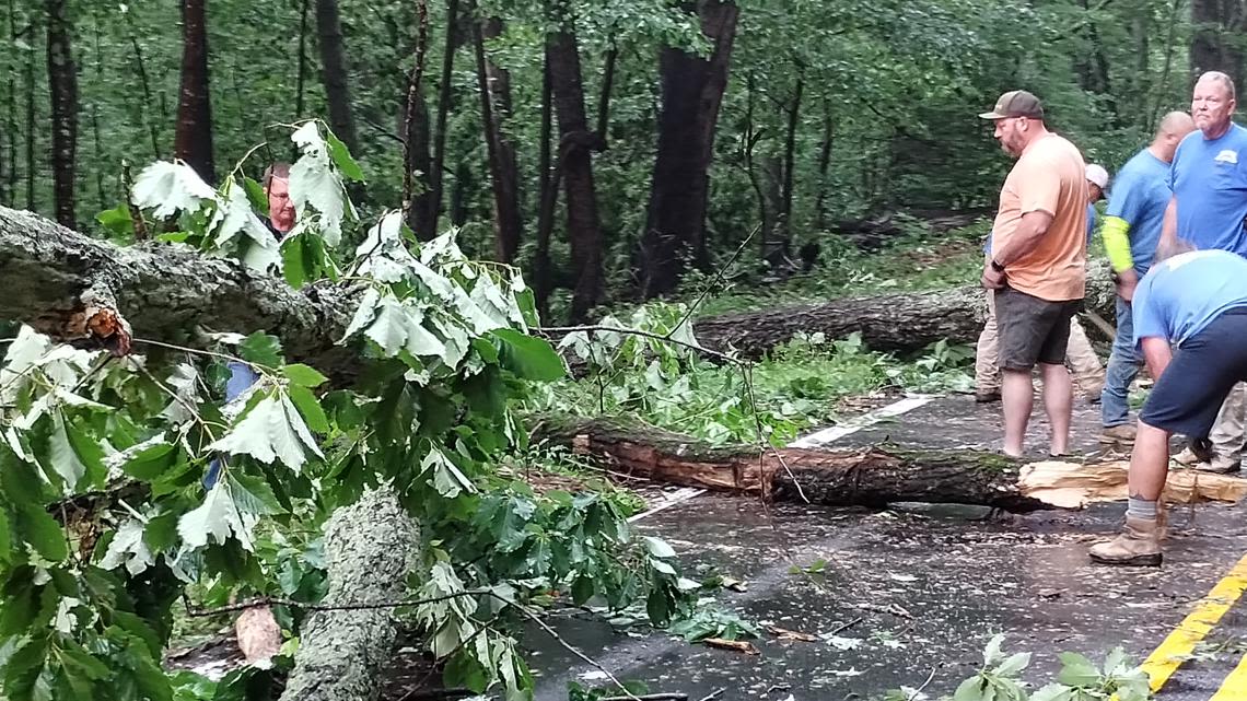 Downed trees, limbs scattered across Charlotte area after severe storms