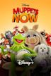 Muppets Now