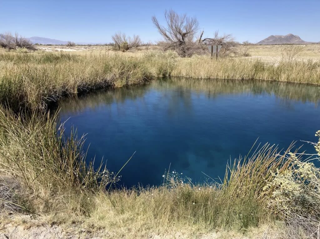 Southern Nevada delegation asks feds for 20-year mining ban near Ash Meadows wildlife refuge