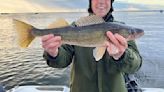 Five things to know before you hit the Minnesota fishing opener