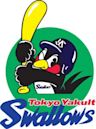 Tokyo Yakult Swallows