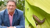 Alan Titchmarsh reveals the slug-proof plants you need in your garden
