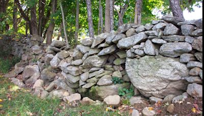 New England stone walls lie at the intersection of history, archaeology, ecology and geoscience, and deserve a science of their own