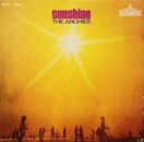 Sunshine (The Archies album)