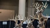 Tuned In: Buckmasters Expo already has August on our minds
