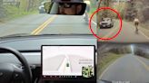 Self-Driving Tesla Almost Crashes Head-on Into Police Car