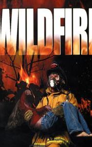 Wild Fire