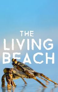 The Living Beach