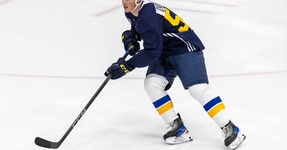 'It's all up to me': Prospect Dalibor Dvorsky has his eyes set on making the Blues' NHL roster