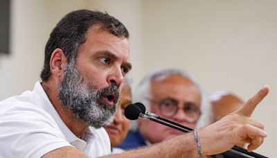 HC raps RSS worker for delaying Rahul Gandhi's trial