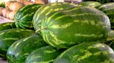 The Only Way To Tell When a Watermelon is Ripe, According to a Farmer