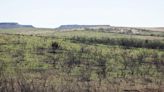 Three months after the Texas’ largest wildfire, Panhandle residents are preparing for the next one