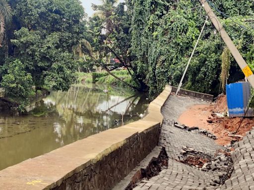 Falling trees damage houses; all quiet on Chellanam coast
