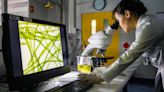 7 Best Biotech Stocks To Add to Your Portfolio in 2022