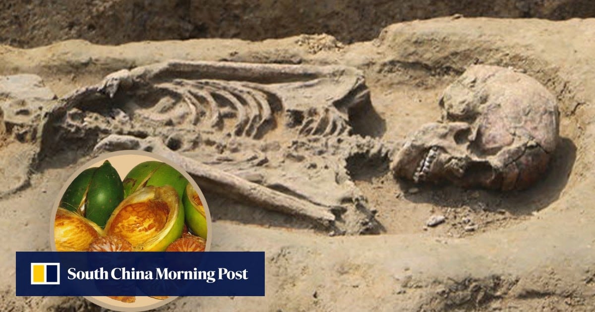 Taiwan human skeletons suggest indigenous tribes chewed betel nuts 2,500 years ago