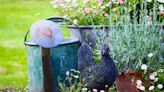 10 end-of-summer gardening jobs to tick off