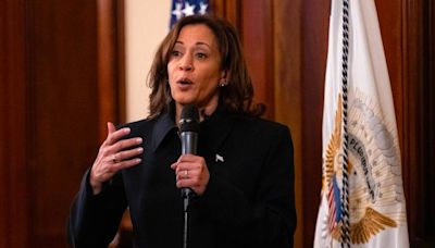 Si Joe Biden se apartara, ¿historial de Kamala Harris afectaría a su candidatura?