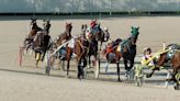 Investigation underway after horse breaks loose and drowns at Ohio racetrack.