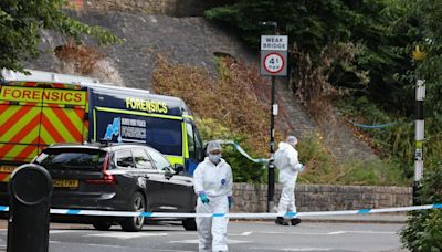 Manhunt after suitcases containing human remains found on Clifton Suspension Bridge