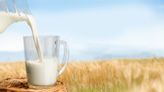 16 Biggest Milk Companies in the US