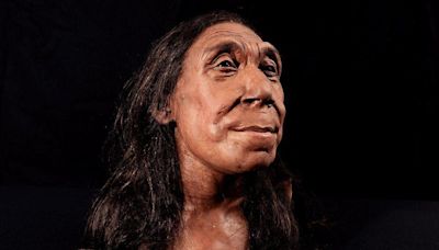 Revelan la cara de una mujer neandertal que vivió hace 75.000 años