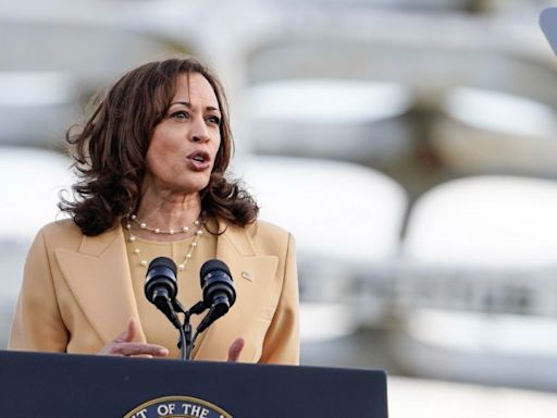 Republicans see opportunity in Harris presidential run after Biden exit