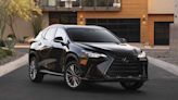 2025 Lexus NX makes small changes, adds small price bumps