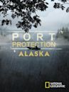 Port Protection Alaska