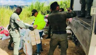 Así pillaron el billetal camuflado en comida para perros; iban 3.000 millones de pesos