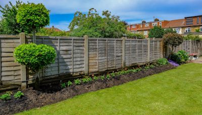 Homeowner rages seeing neighbour’s intimidating garden item that invades privacy