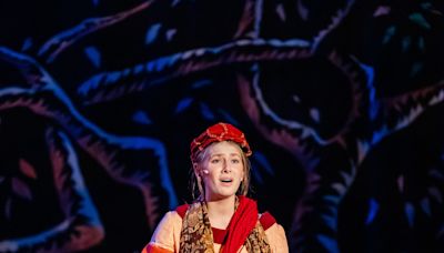 5 Akron-area high schoolers earn top Dazzle nominations for musical roles