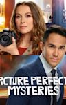 Picture Perfect Mysteries