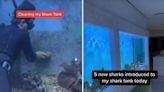 An Australian man who installed a shark tank in his living room is receiving criticism for animal cruelty, but he thinks 'the haters are simply jealous'