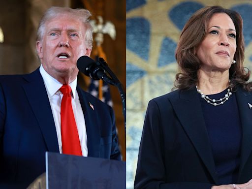 In Trump vs. Harris, It’s Reality-TV Ringleading vs. the TikTok Ticket